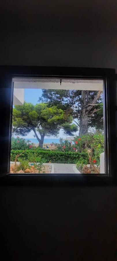 Apartamento Frente Al Mar Alcossebre エクステリア 写真