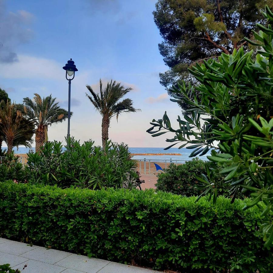 Apartamento Frente Al Mar Alcossebre エクステリア 写真