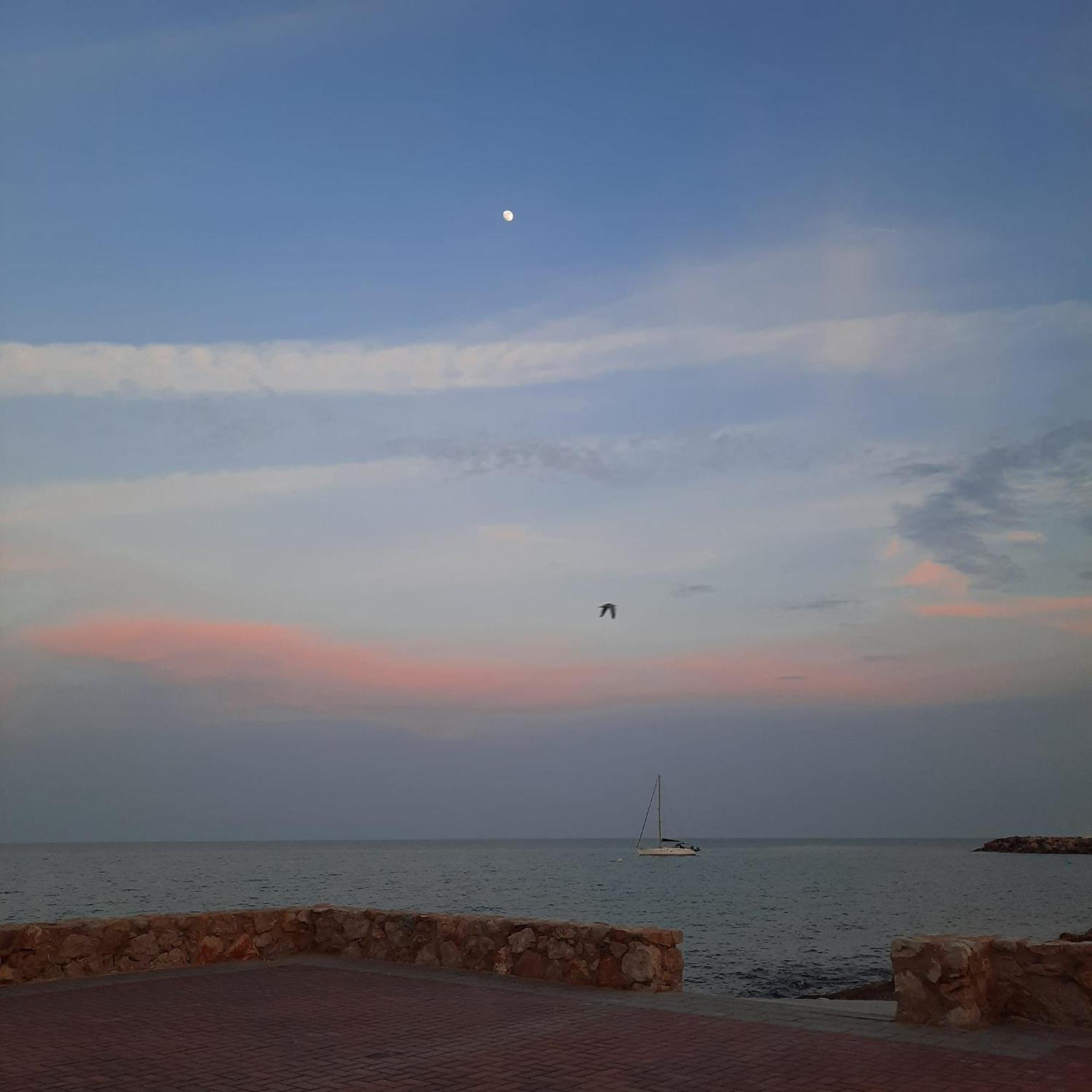 Apartamento Frente Al Mar Alcossebre エクステリア 写真